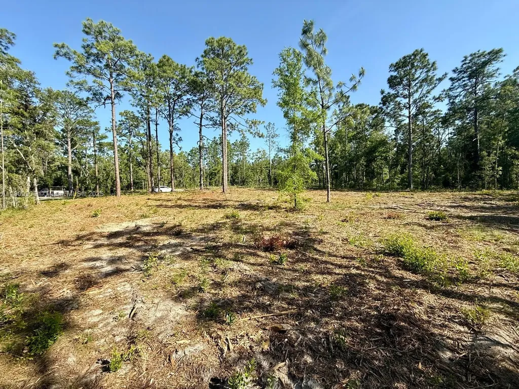 0 NW 157th Avenue Williston FL 32696