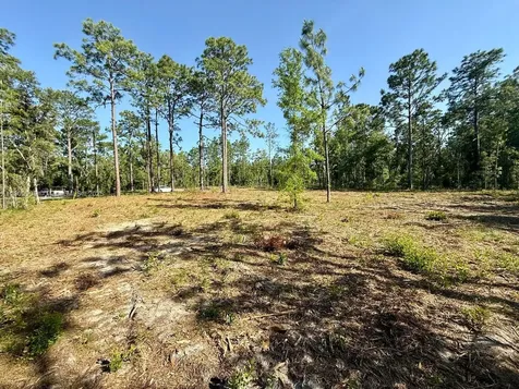 0 NW 157th Avenue Williston FL 32696