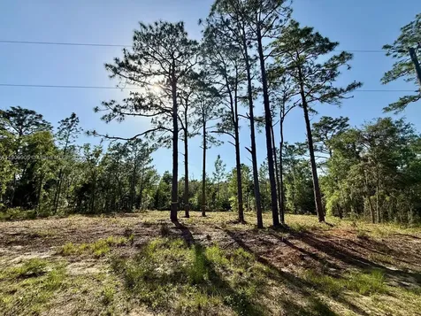 0 NW 157th Avenue Williston FL 32696