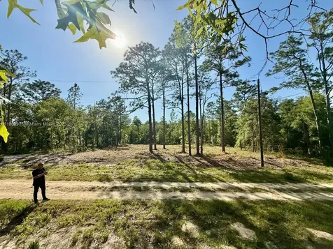 0 NW 157th Avenue Williston FL 32696