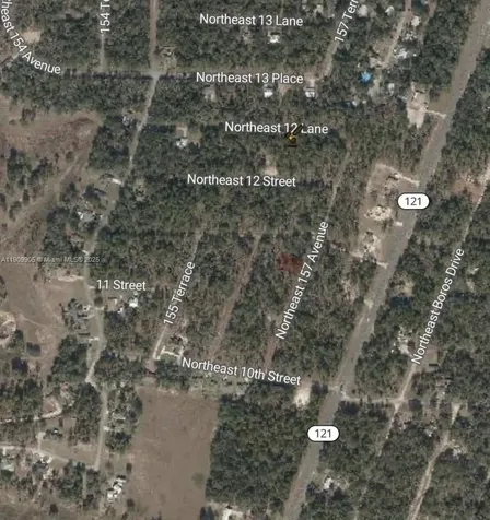 0 NW 157th Avenue Williston FL 32696