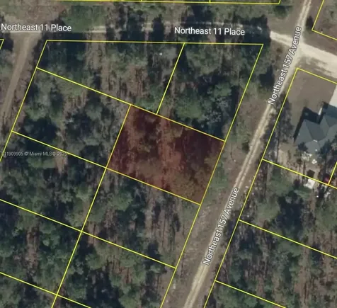 0 NW 157th Avenue Williston FL 32696