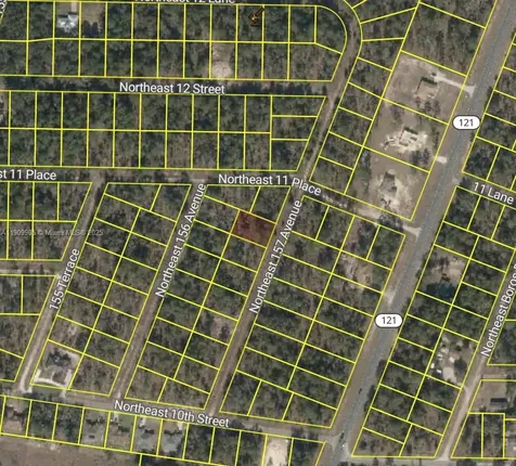 0 NW 157th Avenue Williston FL 32696