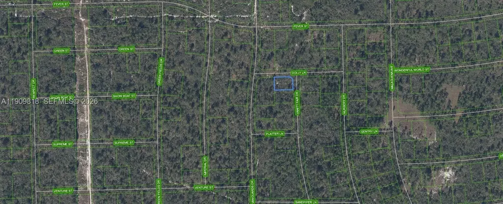 305 Dolly Lane Lake Placid FL 33852