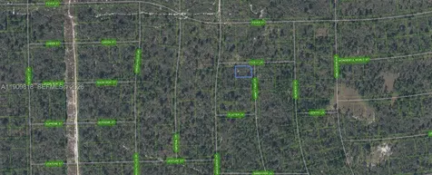 305 Dolly Lane Lake Placid FL 33852