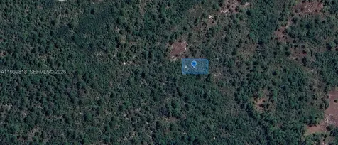 305 Dolly Lane Lake Placid FL 33852