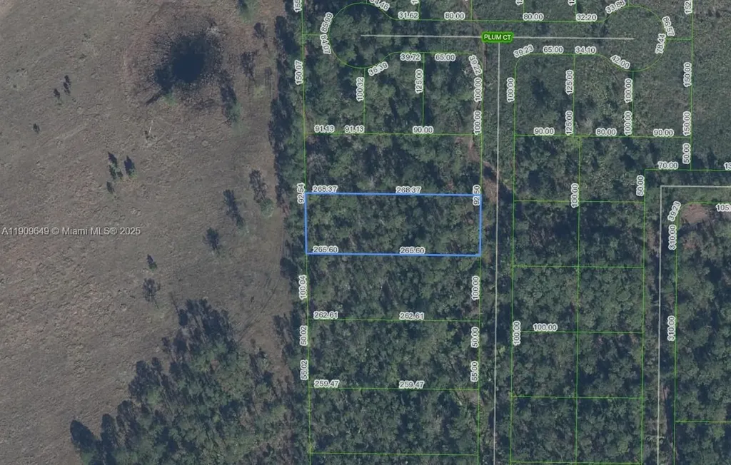 4705 Rhubarb Street Sebring FL 33875