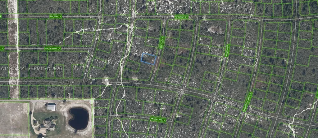 431 Lucille Lane Lake Placid FL 33852