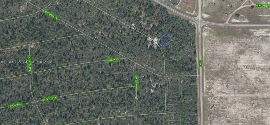 556 Ebbtide Lake Placid FL 33852