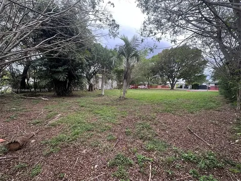 157 NW 104th Street Miami Shores FL 33150