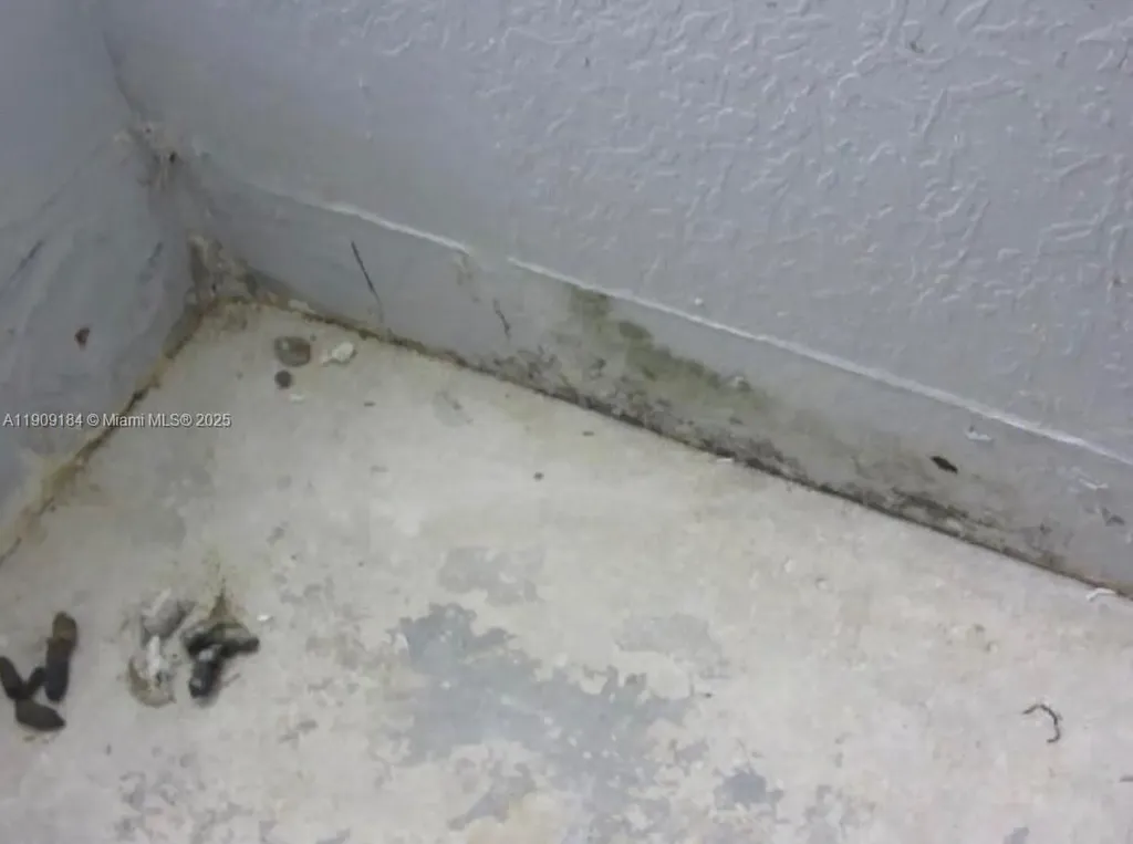 2800 NW 9th Place Fort Lauderdale FL 33311