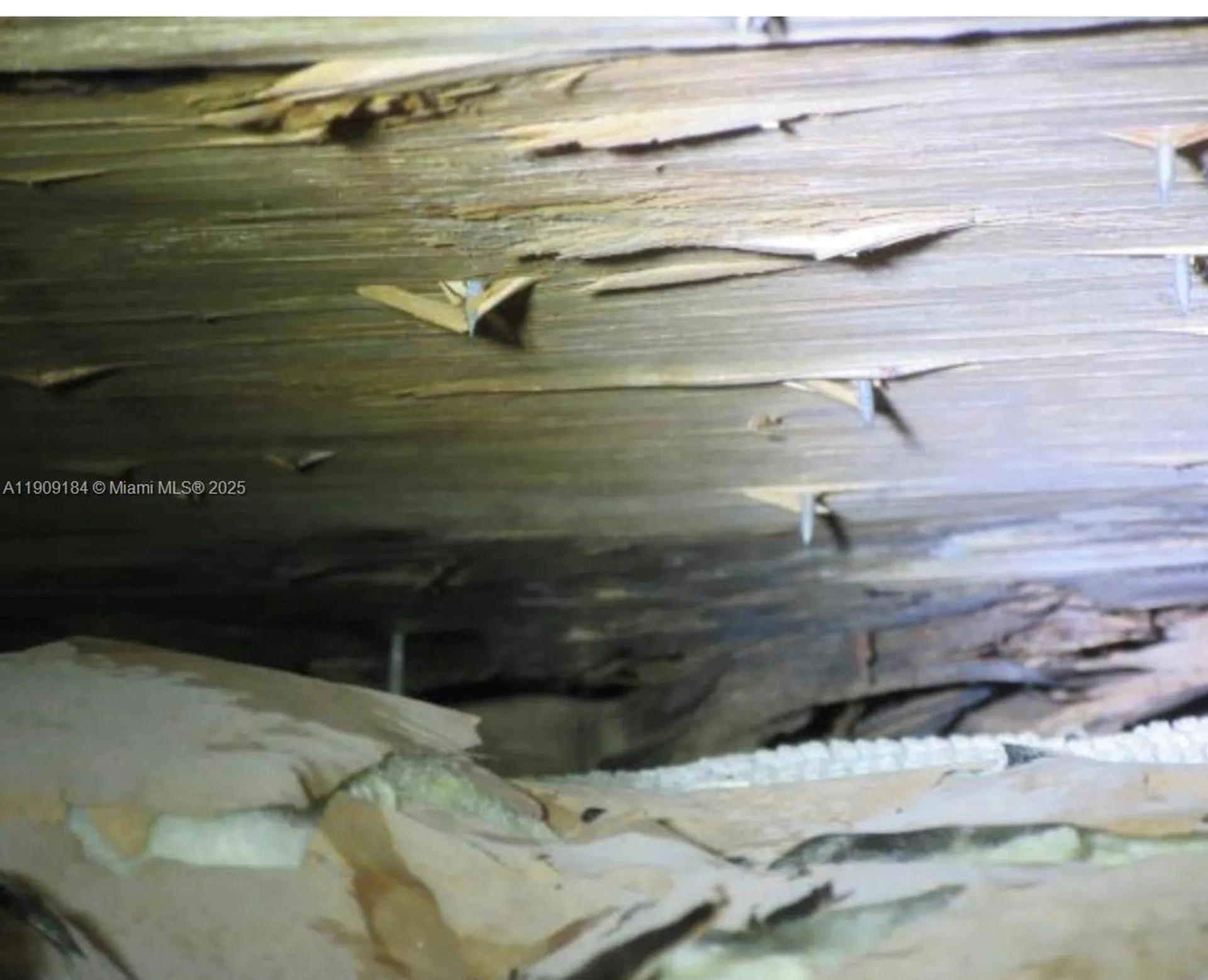 2800 NW 9th Place Fort Lauderdale FL 33311