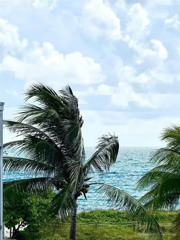 9225 Collins Avenue Surfside FL 33154