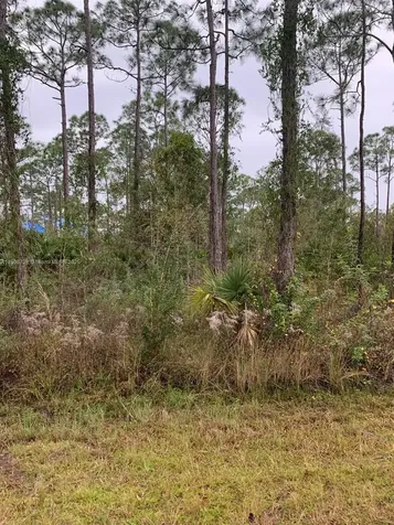 28338 Calais Avenue Punta Gorda FL 33955