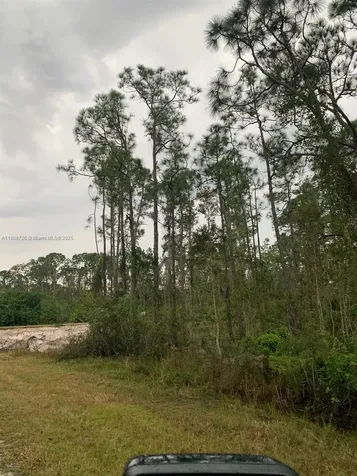 28338 Calais Avenue Punta Gorda FL 33955