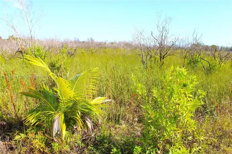 15900 SW 408 Street Florida City FL 33034