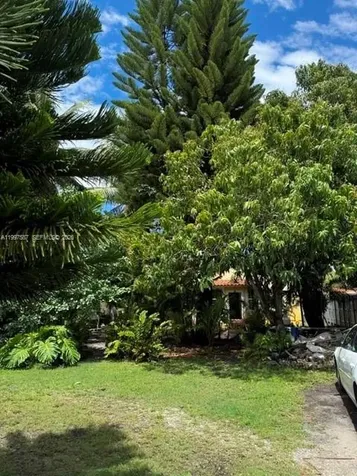 2953 SW 17 Street Miami FL 33145
