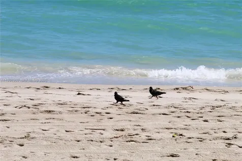 2030 S Ocean Drive Hallandale Beach FL 33009