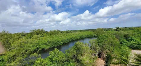 17890 W Dixie Highway North Miami Beach FL 33160