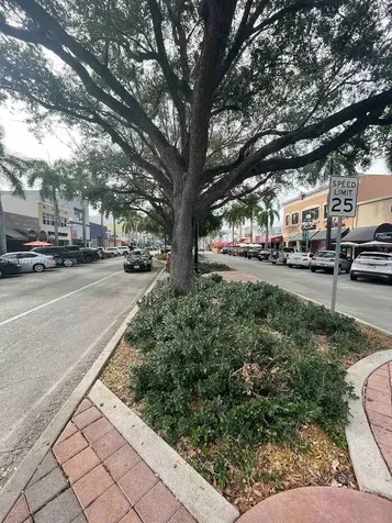 1925 Dewey Street Hollywood FL 33020