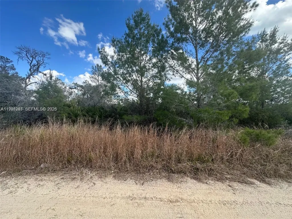123 Dartmoor Avenue Lake Placid FL 33852