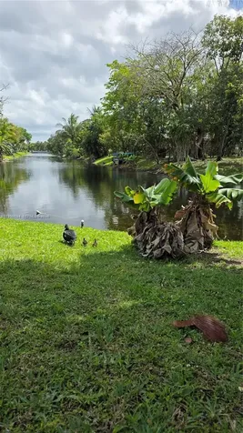 4460 NW 43rd Street Lauderdale Lakes FL 33319