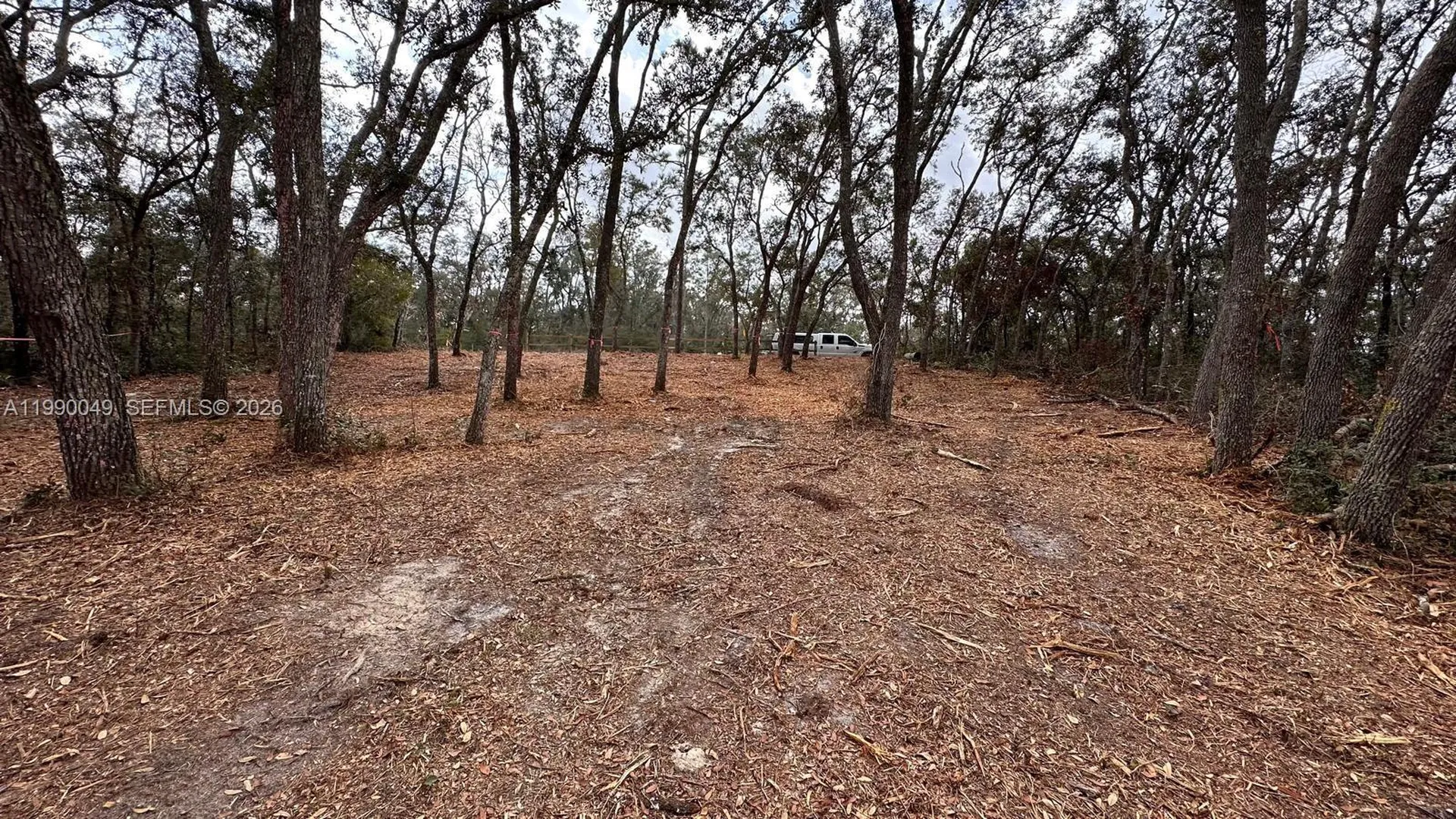 34349 Manuel Street Other City - In The State Of Florida FL 33597