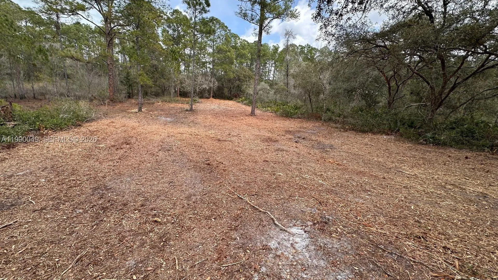 34349 Manuel Street Other City - In The State Of Florida FL 33597