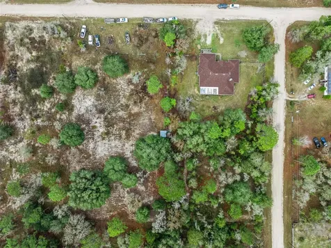 14170 SE 4th Street Williston FL 32696
