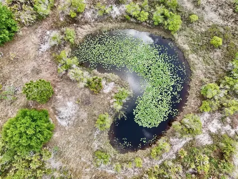 17923 NW 250th Okeechobee FL 34972
