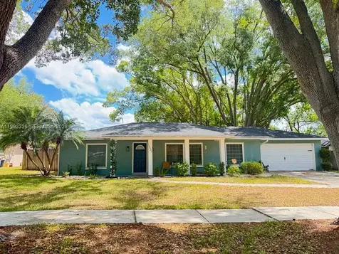 15521 Wetstone Drive Tampa FL 33613