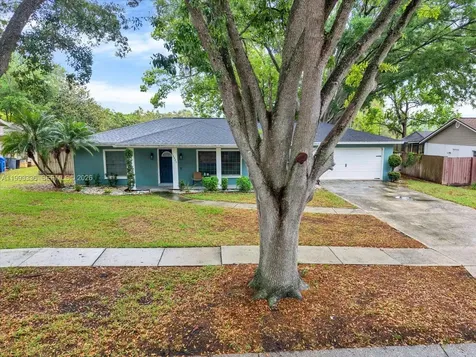 15521 Wetstone Drive Tampa FL 33613
