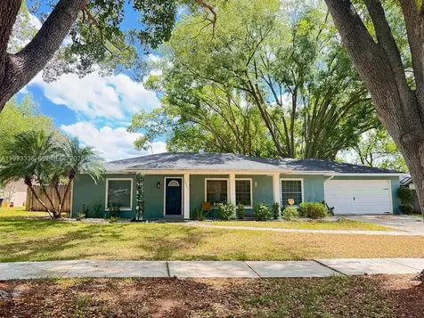 15521 Wetstone Drive Tampa FL 33613