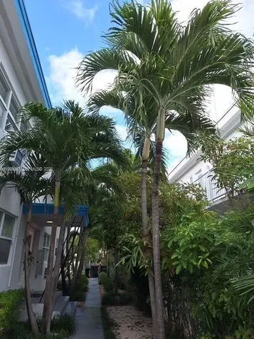 755 83rd Street Miami Beach FL 33141