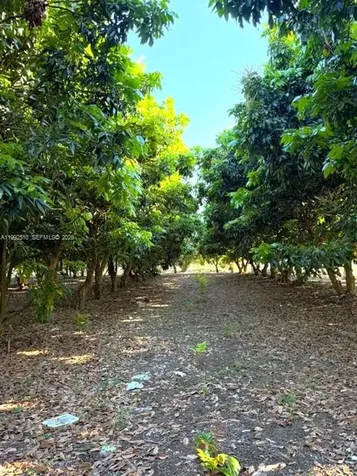 25201 SW 198th Avenue Homestead FL 33031