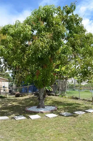 29925 SW 143rd Court Homestead FL 33033