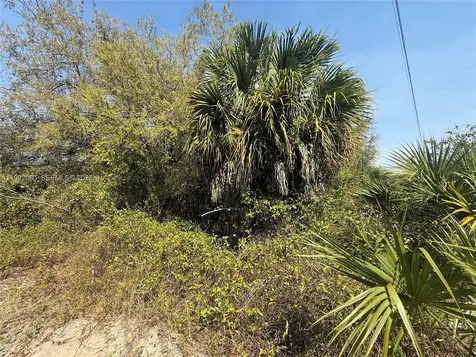 240 S Estribo Street Clewiston FL 33440