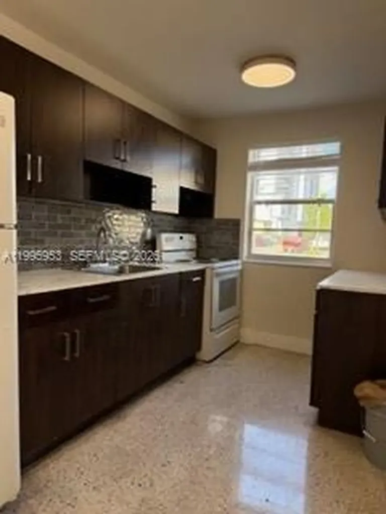 1607 NW 16th Avenue Miami FL 33125
