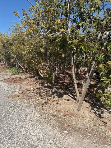 184XX SW 207 Miami FL 33187