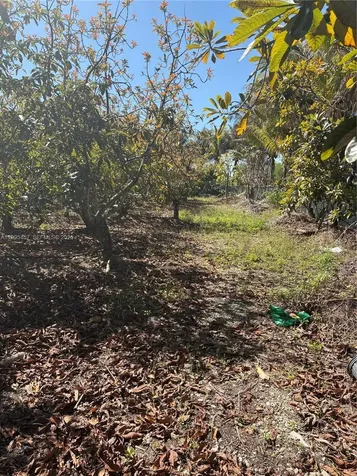 184XX SW 207 Miami FL 33187