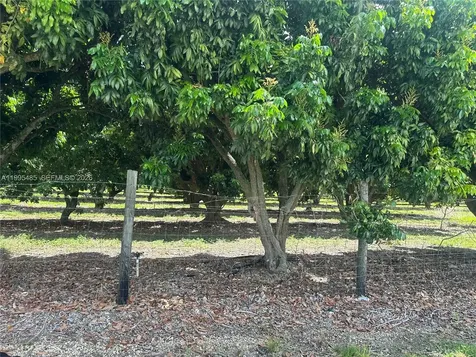 SW 344 Street Homestead FL 33034