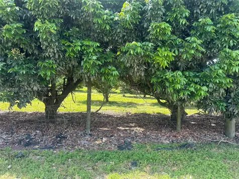 SW 344 Street Homestead FL 33034