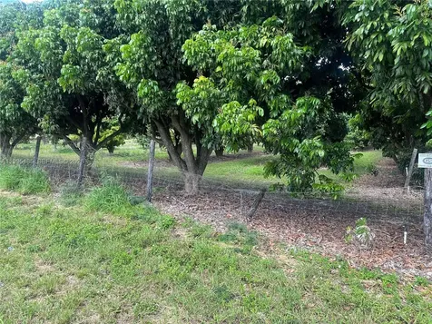 SW 344 Street Homestead FL 33034