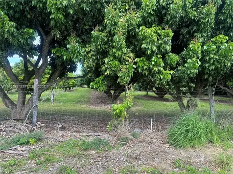 SW 344 Street Homestead FL 33034
