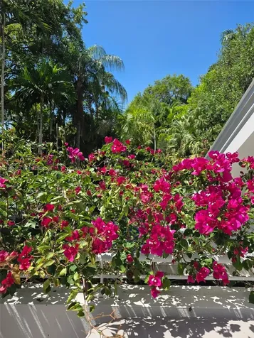 2848 SW 22nd Avenue Miami FL 33133