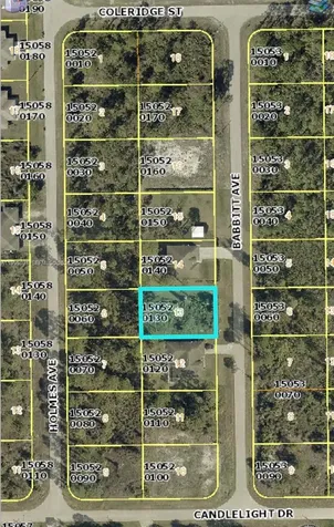 858 Babbit Avenue Lehigh Acres FL 33974