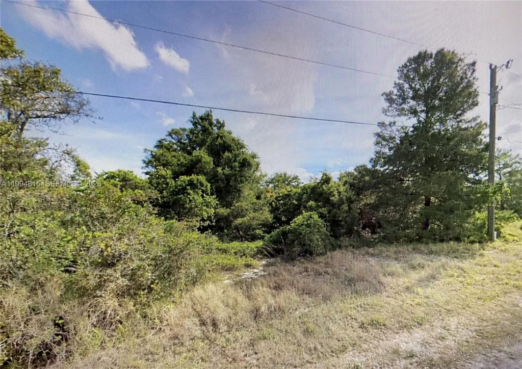 227 Pershing Avenue Lake Placid FL 33852
