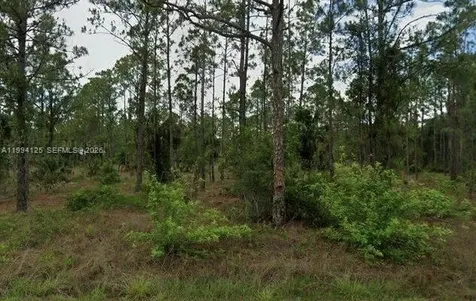 1107 Fifth Avenue Lehigh Acres FL 33972