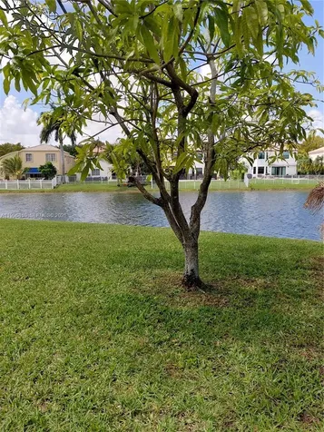 16863 SW 50th Street Miramar FL 33027