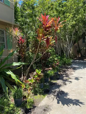 40 Almeria Avenue Coral Gables FL 33134